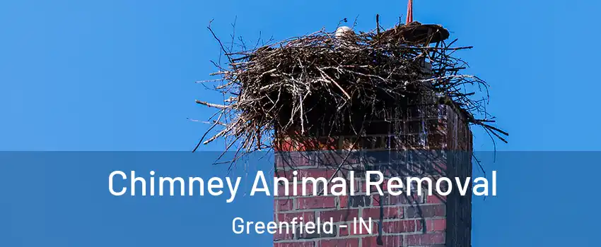  Chimney Animal Removal Greenfield - IN