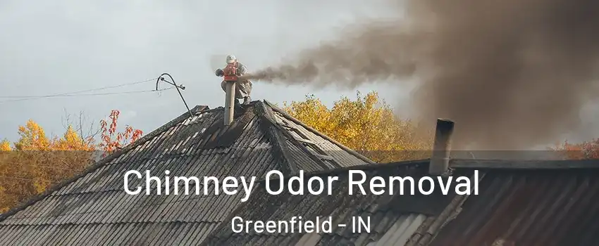  Chimney Odor Removal Greenfield - IN