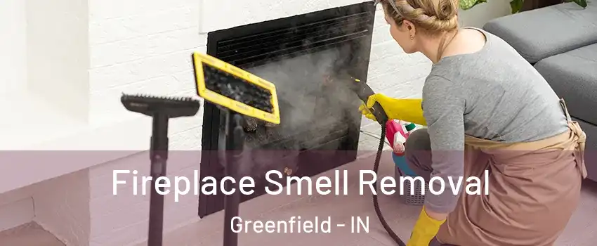  Fireplace Smell Removal Greenfield - IN