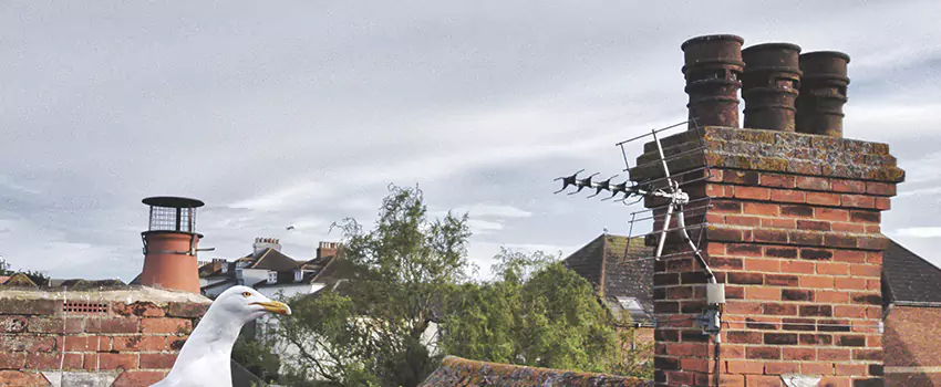 Chimney Cleaning And Restoration in Greenfield, Indiana