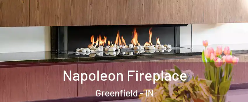  Napoleon Fireplace Greenfield - IN